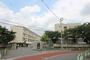 大学・短大　星美学園短期大学（大学・短大）まで752m