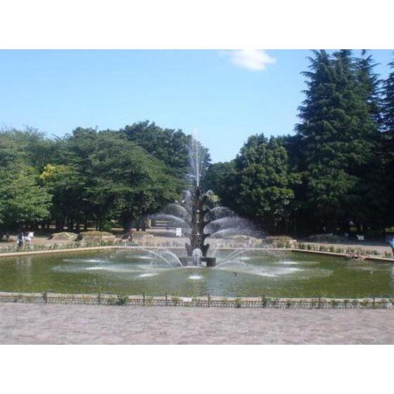 眺望　世田谷公園まで250m