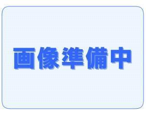 庭　準備中