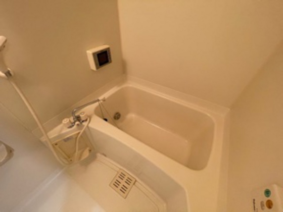 バス・シャワールーム　※別部屋の写真です