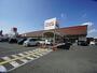 ドラックストア　サンドラッグ汐田橋店（ドラッグストア）まで782m