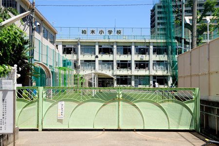 小学校　柏木小学校（小学校）まで771m