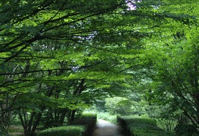 公園　北の丸公園（公園）まで1962m
