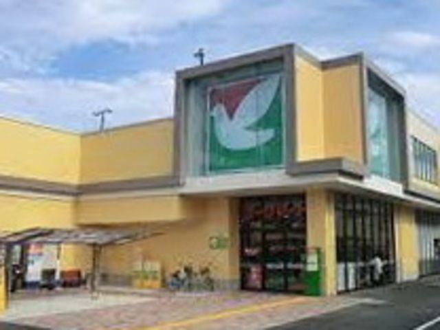 スーパー　ヨークマート南原店（スーパー）まで1556m