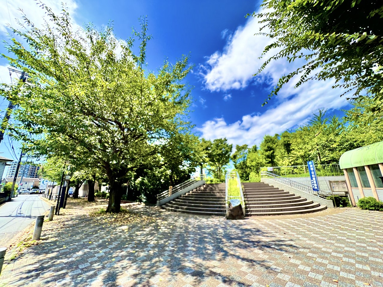 公園　荒屋敷公園（公園）まで800m