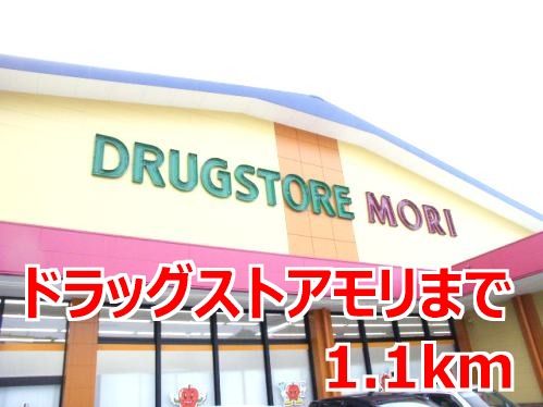 ドラックストア　ドラッグストアモリ（ドラッグストア）まで1100m