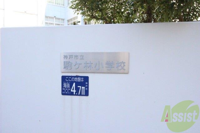 小学校　神戸市立駒ケ林小学校（小学校）まで347m
