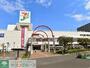 スーパー　イトーヨーカドー川崎港町店（スーパー）まで600m