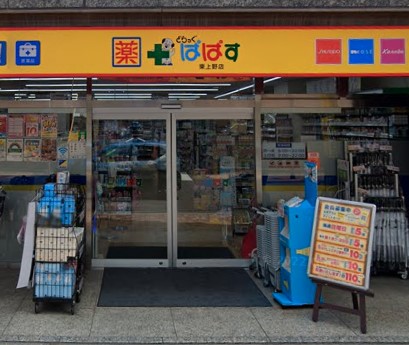 ドラックストア　どらっぐぱぱす 東上野店（ドラッグストア）まで331m