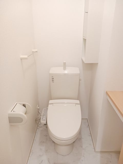 ＪＲ宇部線 居能駅 徒歩12分 2階建 築13年のトイレ写真