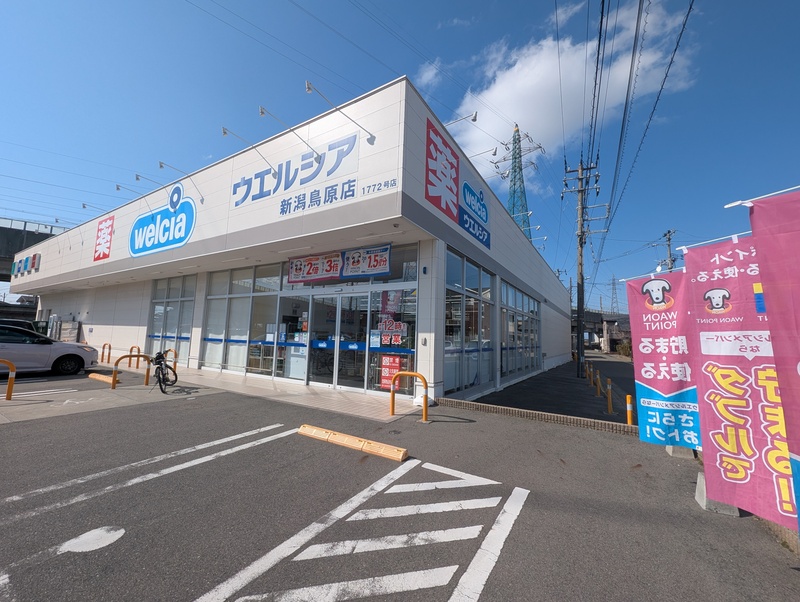 ドラックストア　ウエルシア新潟鳥原店（ドラッグストア）まで1000m