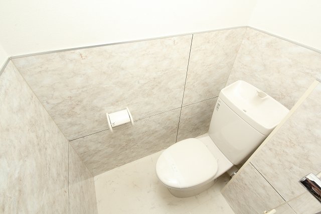 東鷲宮ニュータウン駅前プラザ2号棟のトイレ写真