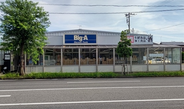 その他　ビック・エー木下店（その他）まで1100m