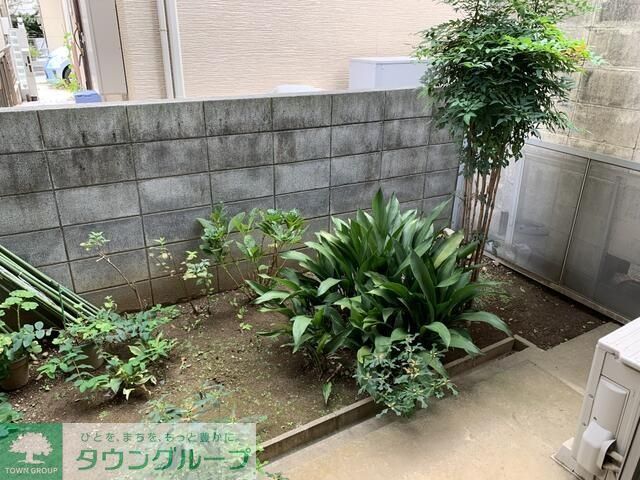 庭