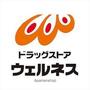 ドラックストア　ウェルネス皆生店（ドラッグストア）まで436m