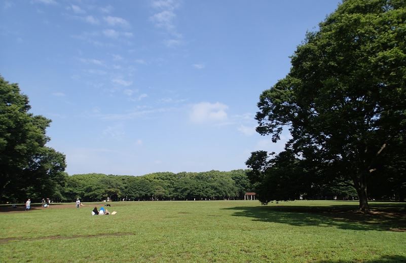 公園　代々木公園（公園）まで6287m
