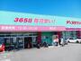 ドラックストア　コスモス堀江店様（ドラッグストア）まで800m
