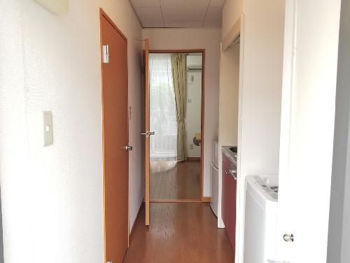 玄関　同タイプ部屋の写真となり設備等は現況と異なる場合があります