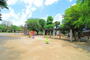 公園　平和公園（公園）まで500m