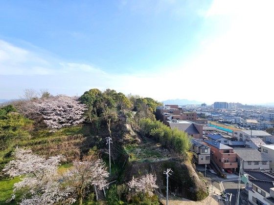 眺望　※別部屋の写真です