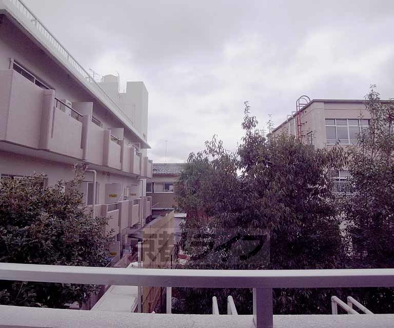 眺望　樹木が見えて落ち着きます。