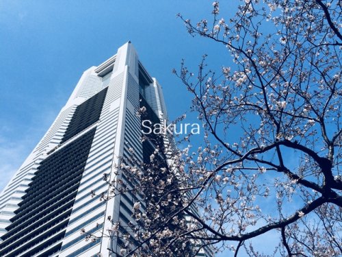 【横浜市西区戸部本町のマンションのショッピングセンター】