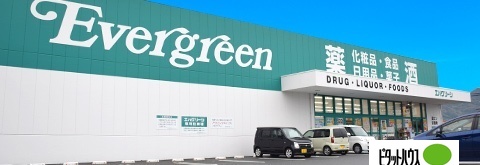 ドラックストア　エバグリーン有田店（ドラッグストア）まで2087m