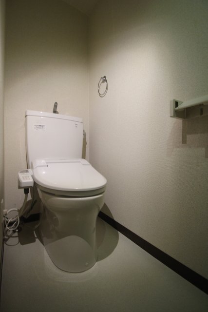 トイレ　同物件、別号室のものです。
