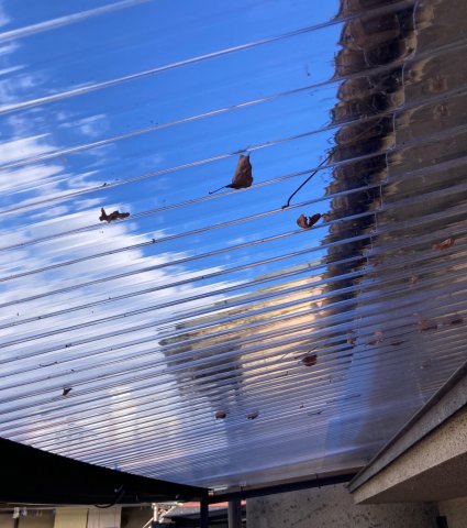 バルコニー　ベランダも日当たりが良くなります