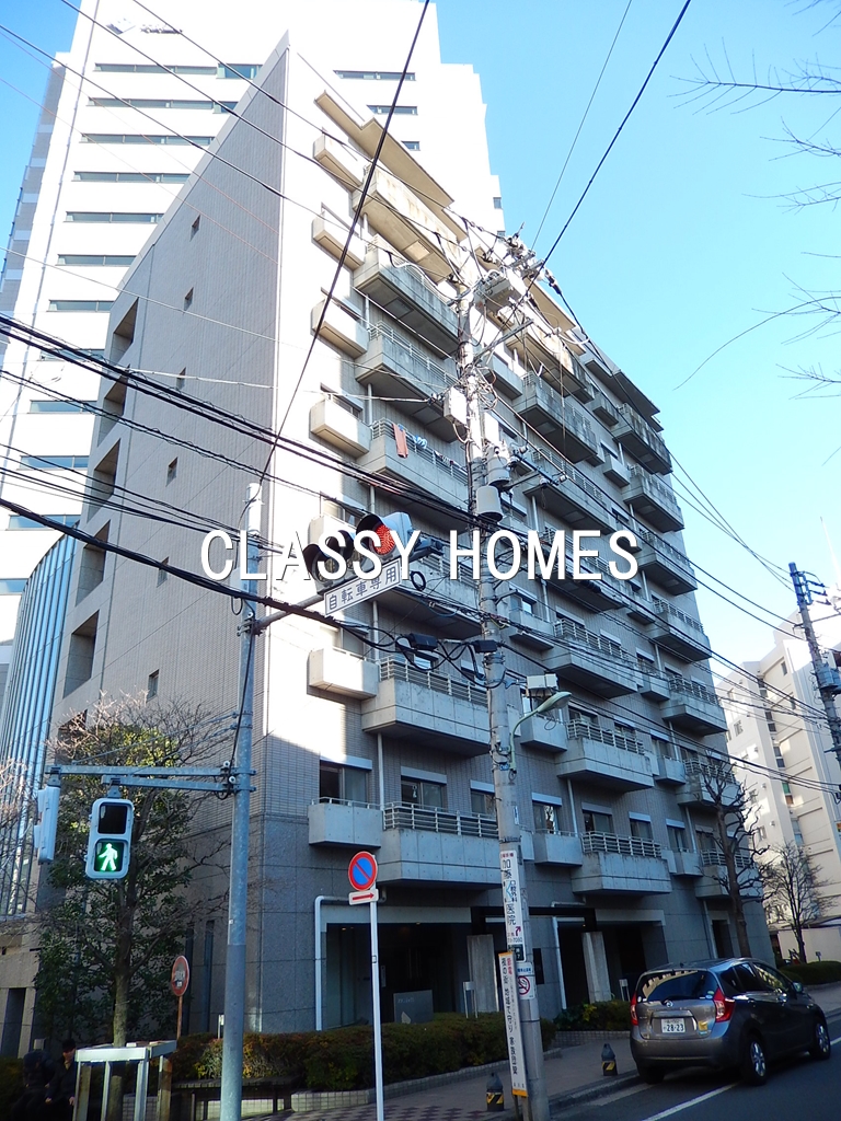 建物外観　1996年竣工 アメニティ55：外観