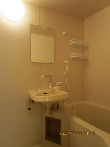 バス・シャワールーム　使いやすい洗面所です