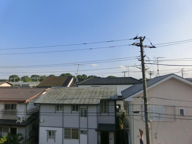 眺望　日差しが当たりやすいお部屋です