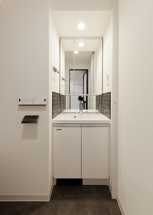 洗面設備　※カラータイプ異なります