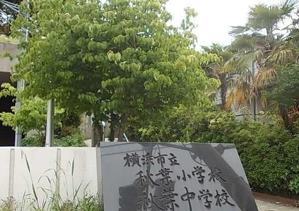 小学校　秋葉小学校（小学校）まで200m