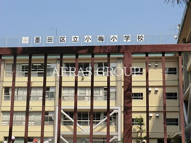 小学校　墨田区立小梅小学校（小学校）まで297m