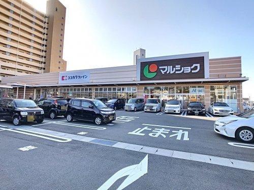 スーパー　マルショク東駅店（スーパー）まで458m