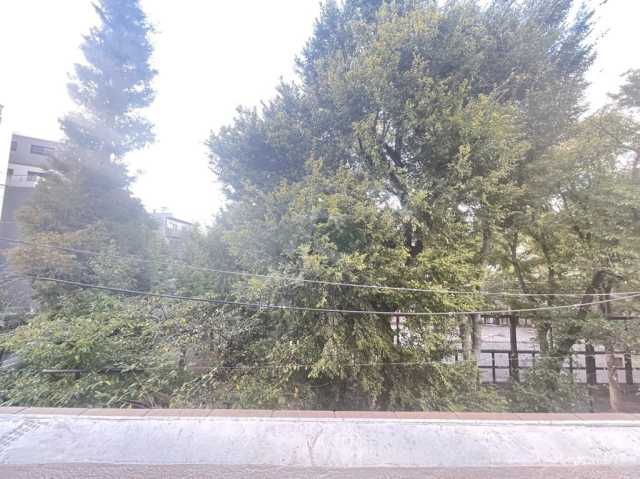 眺望　パレステュディオ文京千石パークサイド