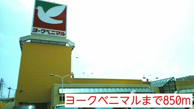 ショッピングセンター　ヨークベニマル（ショッピングセンター）まで850m