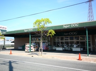 スーパー　スーパーオオジ伊丹店（スーパー）まで630m