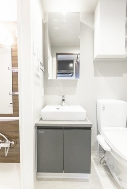 洗面設備　同仕様写真