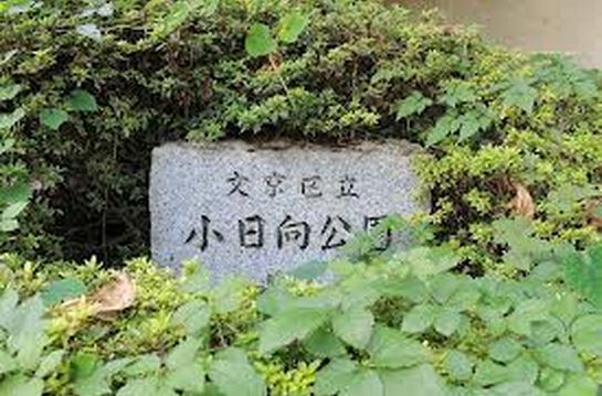 公園　小日向公園（公園）まで639m