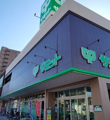 スーパー　サミットストア野沢龍雲寺店（スーパー）まで364m