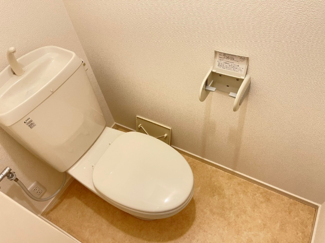トイレ　別号室の写真でございます。別号室の写真でございます。