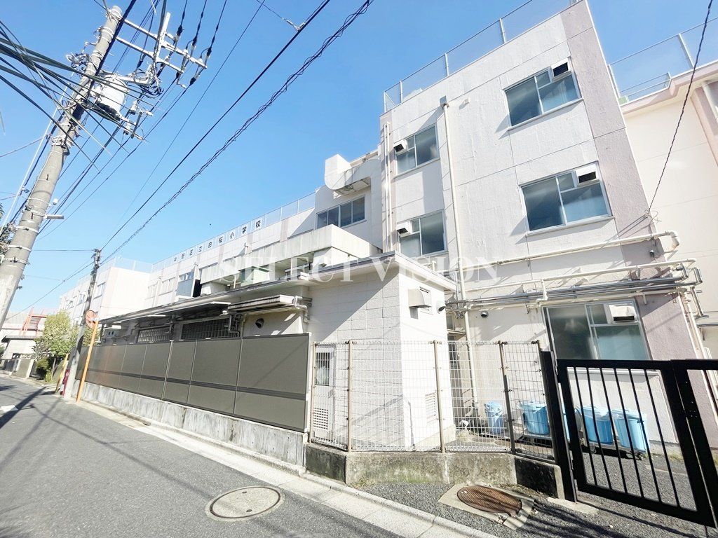 小学校　中野区立白桜小学校（小学校）まで460m