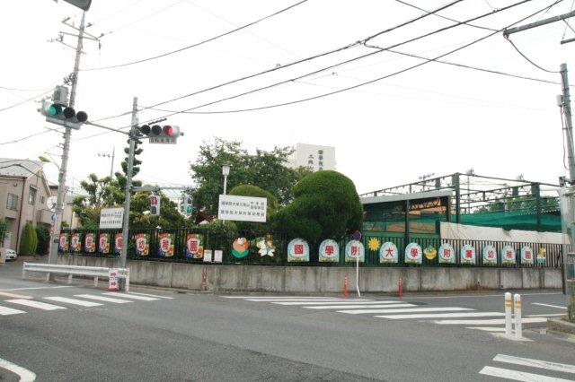 幼稚園・保育園　国学院大学附属幼稚園（幼稚園・保育園）まで253m
