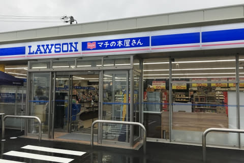 コンビニ　ローソン向ヶ丘遊園東店（コンビニ）まで243m