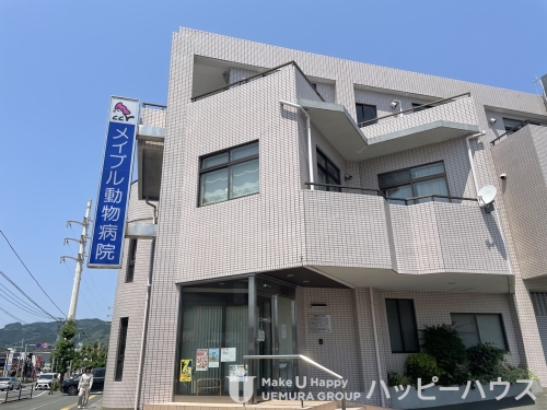 病院　メイプル動物病院（病院）まで692m