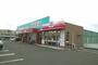 ドラックストア　くすりのレディハローズ六条店様（ドラッグストア）まで950m