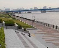 公園　豊洲公園（公園）まで633m