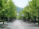 大学・短大　国立岡山大学（大学・短大）まで972m